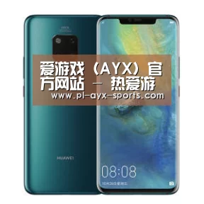 华为无线快充手机