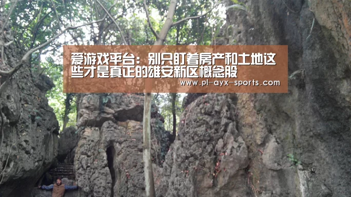 爱游戏平台:别只盯着房产和土地这些才是真正的雄安新区概念股(图3) 爱游戏APP