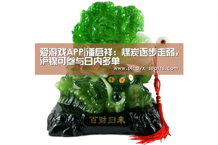 爱游戏APP|潘启祥:煤炭逐步走弱,沪镍可参与日内多单(图2) 爱游戏APP