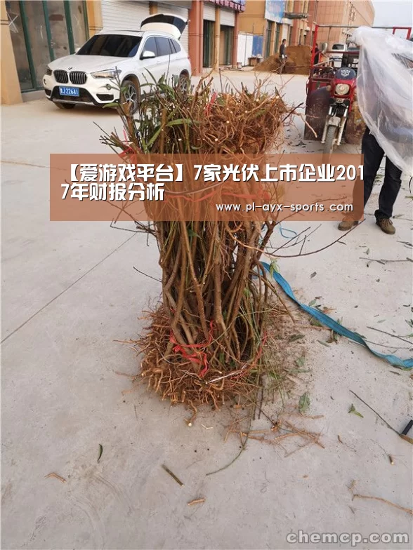 爱游戏入口
