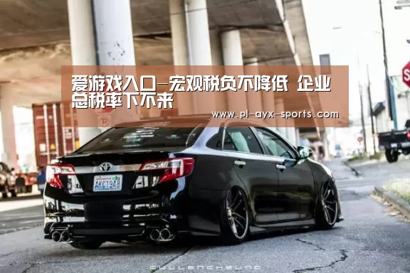 爱游戏入口-宏观税负不降低 企业总税率下不来(图1) 爱游戏下载