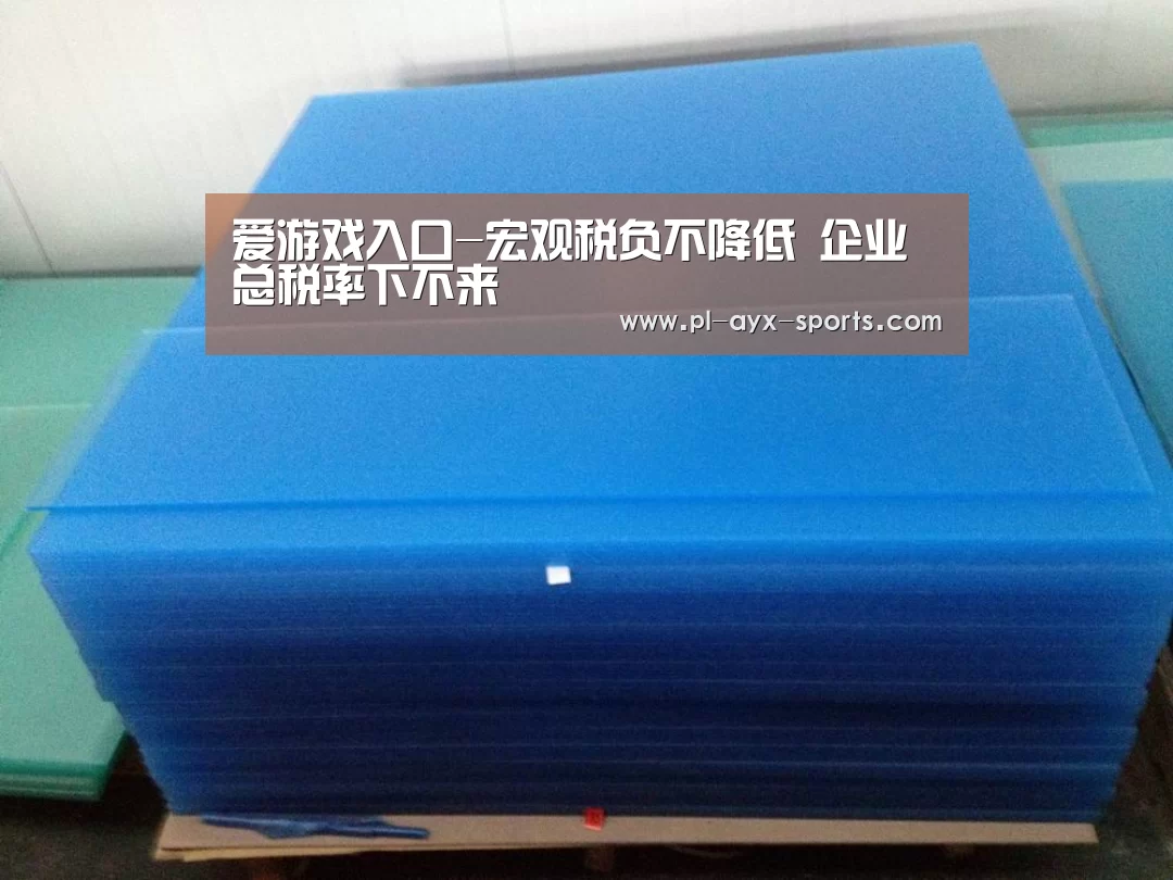 爱游戏入口-宏观税负不降低 企业总税率下不来(图3) 爱游戏平台